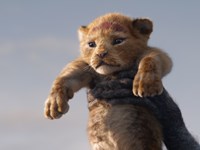 The Lion King
