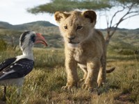 The Lion King